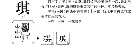 琪字|琪字五行属什么